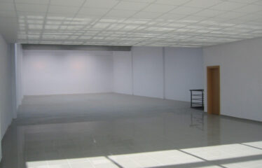 P.I. Badalona sur – Nave 19