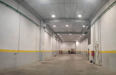 P.I. Badalona sur – Nave 19